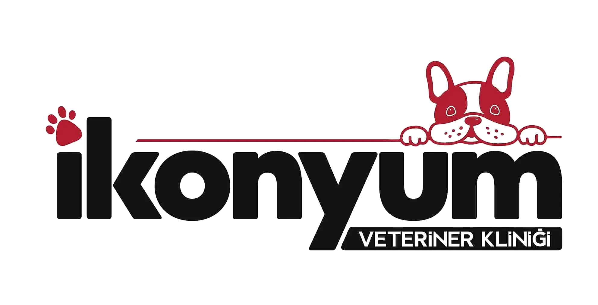 Ikonyum Logo
